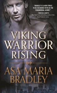 VikingWarriorRisingWeb